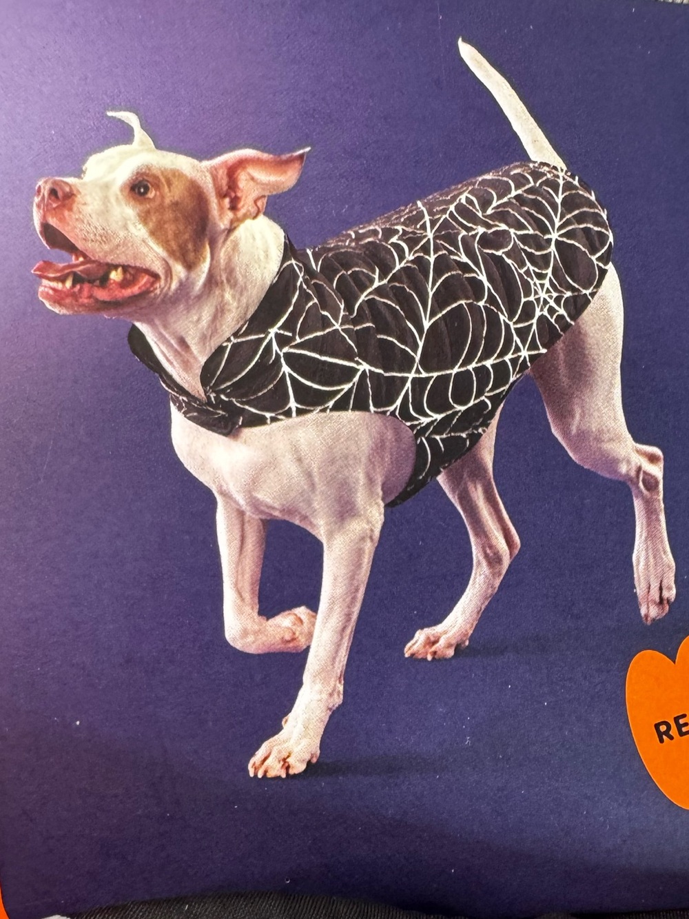 Boots & Barkley Halloween Spiderweb Dog Coat - Black & White